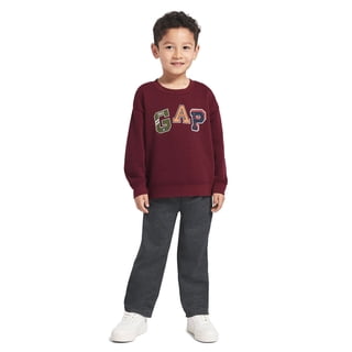 Gap Kids Boys Toddler Fleece Set