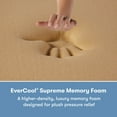 thumbnail image 10 of Serta Perfect Sleeper X Excelled Hybrid Mattress, 10 of 12