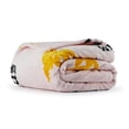 thumbnail image 2 of Licensed Hocus Pocus 2-Piece Pillow Buddy and Silk Touch Throw Set, 2 of 6