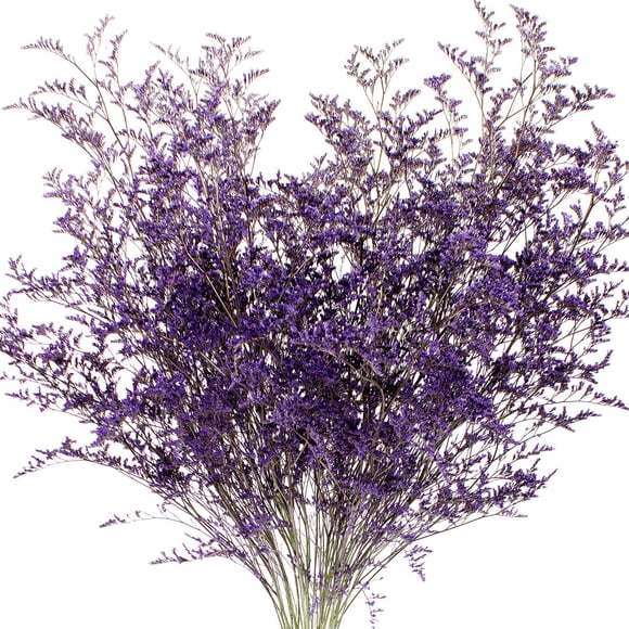 Member's Mark Limonium, 15 bunches, Choose color