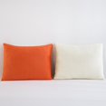 thumbnail image 3 of Kids Licensed 2-Pack Cloud Plush Pillow Set, 20" x 26", 3 of 7