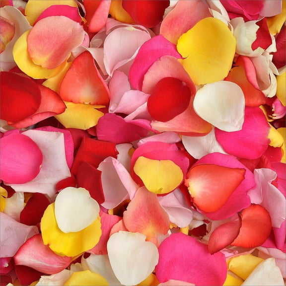 Member's Mark Fresh Rose Petals, 3000 ct., Choose color variety