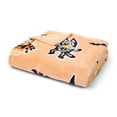 thumbnail image 3 of Licensed Characters Adult Halloween Silk Touch Throw Blankets, 60" x 70", 3 of 5