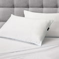 thumbnail image 2 of Serta 2-Pack Comfort 101 Bed Pillows, Assorted Sizes, 2 of 6