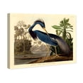 thumbnail image 1 of Louisiana Heron Traditional Canvas Print by Oliver Gal Prints, 1 of 5