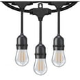 thumbnail image 1 of Honeywell 48' LED Dual Filament Vintage String Lights, 1 of 5