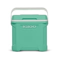 thumbnail image 1 of Igloo 30-Quart Cooler, 1 of 13