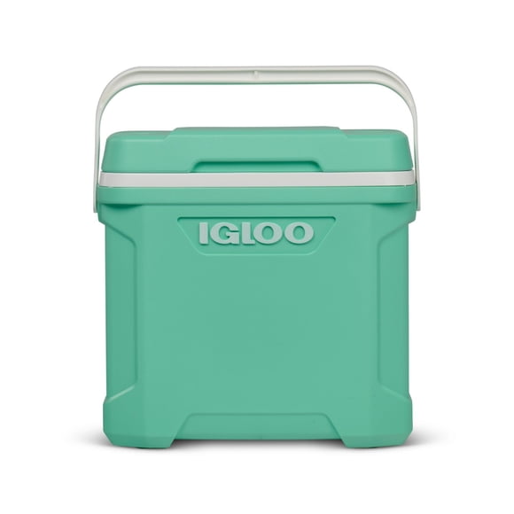 Igloo 30-Quart Cooler