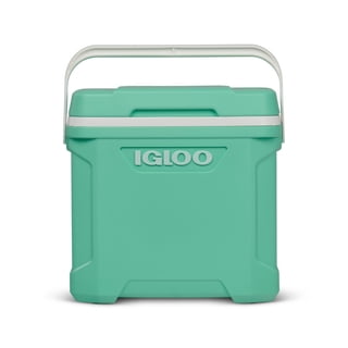 Igloo 30-Quart Cooler