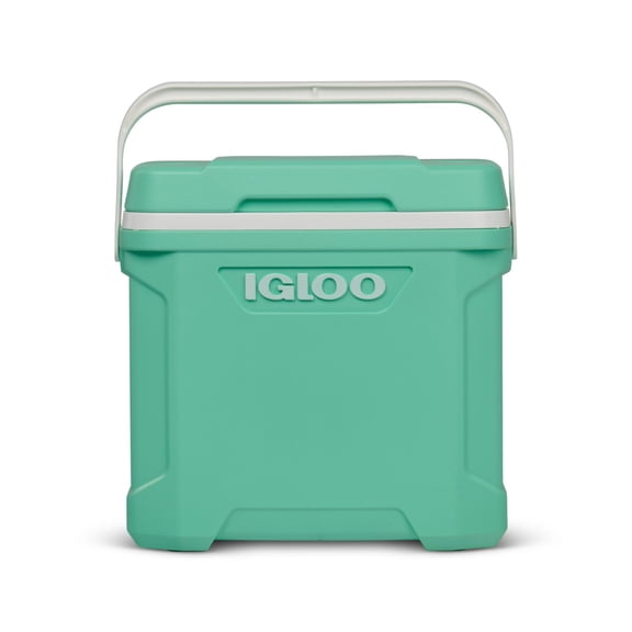 Igloo 30-Quart Cooler