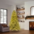 thumbnail image 1 of Member's Mark 7.5' Pre-Lit Fraser Fir Downswept Christmas Tree, 1 of 11
