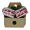 thumbnail image 4 of Member's Mark Garden Roses, 36 stems, Choose color variety, 4 of 6