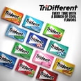 thumbnail image 9 of Trident Sugar-Free Chewing Gum, Original Flavor, 14 pcs., 15 pk., 9 of 10