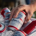 thumbnail image 5 of Budweiser Lager Beer, 12 fl. oz. can, 12 pk., 5 of 5