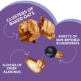 thumbnail image 5 of Kashi Blueberry Almond Granola, 27 oz., 5 of 9