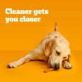 thumbnail image 6 of Pedigree Dentastix Large Variety Adult Dog Treats, 3.45 lbs., 65 ct., 6 of 9
