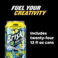thumbnail image 4 of Lipton Brisk Lemon Iced Tea 12 fl. oz., 24 pk., 4 of 4