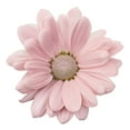 thumbnail image 4 of Member's Mark Painted Poms, 60 Stems, choose color, 4 of 6