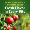 thumbnail image 6 of Del Monte Stewed Tomatoes  15.4 oz., 8 pk., 6 of 8