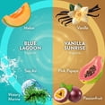 thumbnail image 6 of Air Wick Plug In Scented Oil Air Freshener, Blue Lagoon + Vanilla Sunrise, Choose Pack, 6 of 9