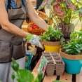 thumbnail image 11 of Backyard Discovery 12' x 7' Slant Roof Cedar Greenhouse - DIY, 11 of 14