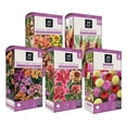 thumbnail image 5 of Member's Mark Boxed Spring Flower Bulbs, 5 of 7