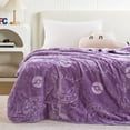 thumbnail image 3 of Kids Licensed Ultra Plush Embossed Throw, 50" x 60", 3 of 5