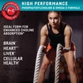 thumbnail image 6 of Kori Pure Antarctic Krill Oil Multi-Benefit Omega-3 800 mg. Softgels 120 ct., 6 of 6