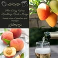 thumbnail image 3 of Shoe Crazy Peach Mango Sparkling Wine (750 ml), 3 of 5