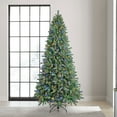 thumbnail image 1 of Member's Mark 9' 800 LED Pre-Lit Virginia Pine Christmas Tree, 1 of 14