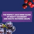 thumbnail image 6 of Ocean Spray Cran-Grape Juice Drink 96 oz., 2 pk., 6 of 7
