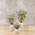 thumbnail image 5 of Member's Mark Limonium, 60 Stems, choose color, 5 of 6