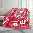 thumbnail image 2 of Logo Brands Wisconsin Badgers 60"x70" Super Plush Blanket, 2 of 6