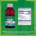 thumbnail image 4 of Ocean Spray Juice Drink Variety Pack 10 fl. oz., 18 pk., 4 of 8