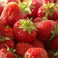 thumbnail image 5 of Member's Mark Strawberry Ozark Beauty, 40pk, 5 of 9