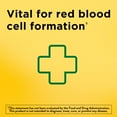 thumbnail image 5 of Nature Made Iron 65 mg Tablets, 365 ct., 5 of 10