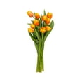 thumbnail image 2 of Member's Mark Tulips, 50 stems, 2 of 3