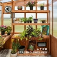 thumbnail image 6 of Backyard Discovery 11' x 7' Modern Cedar Greenhouse - DIY, 6 of 16