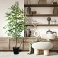 thumbnail image 4 of Faux 72" Olive Tree in Black Plastic Pot, 4 of 5