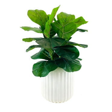 Artificial Premium Fiddle Leaf Fig Plant in Off White Pot