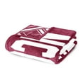thumbnail image 5 of Logo Brands North Carolina Central Eagles 60"x70" Super Plush Blanket, 5 of 6
