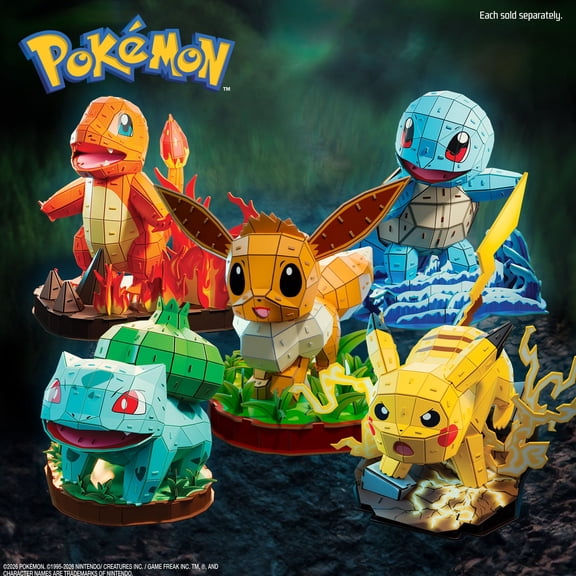 4D Puzzle Pokemon