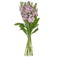 thumbnail image 3 of Member's Mark Stock, 100 stems, choose color, 3 of 7