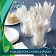 thumbnail image 3 of Hefty EcoSave Cutlery Combo Pack (360 ct.), 3 of 5