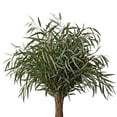 thumbnail image 1 of Member's Mark Eucalyptus Willow 40 stems, 1 of 5