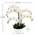 thumbnail image 5 of Artificial 20" Orchid in White Ceramic Planter, Assorted Colors, 5 of 5