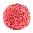 thumbnail image 1 of Member's Mark Ecuadorian Premium Roses, choose color variety and stem count, 1 of 6