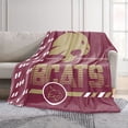 thumbnail image 2 of Logo Brands Texas State Bobcats 60"x70" Super Plush Blanket, 2 of 7