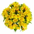 thumbnail image 1 of Member's Mark Alstroemeria, Choose color and stem count, 1 of 1