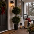 thumbnail image 4 of Artificial 4' Holly Berry Double Ball Topiary in Black Grower's Pot, 4 of 6